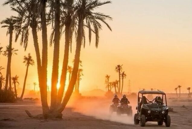Excursion to Marrakech Palmeraie – Quad, Camel Ride, ,