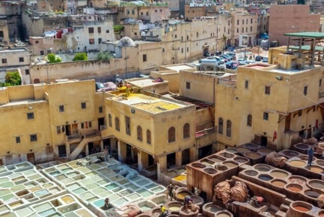 Historical Walking Tour of Fes old Medina (UNESCO World Heritage Site) with Licensed Local Guide